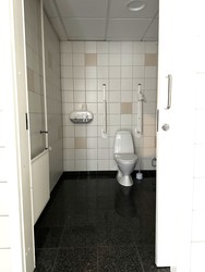 Scandic Kolding - Toilet next to Mjølner and Mimer